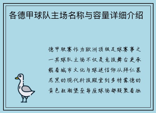 各德甲球队主场名称与容量详细介绍